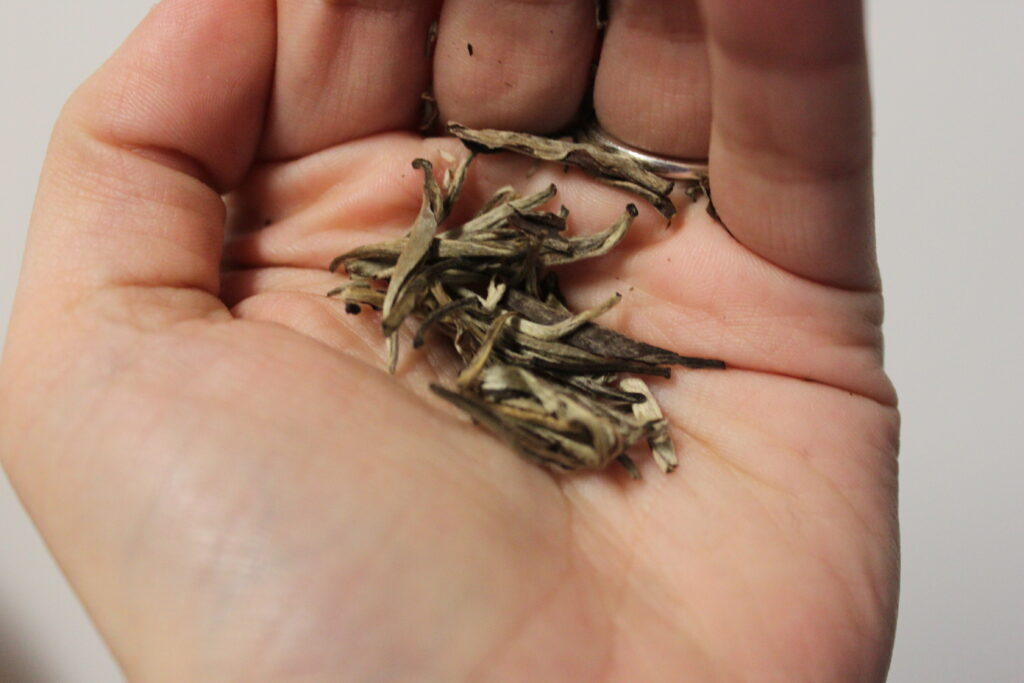 Introduction to Silver Needles also known as &ldquo;white tea&rdquo;