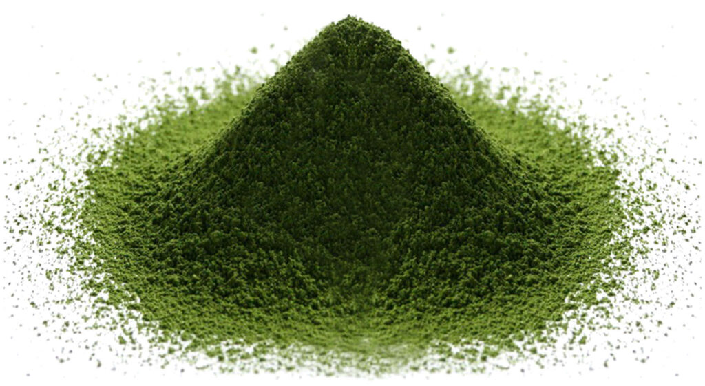 Places Where I Tried Matcha in New York City (Updated 2026)