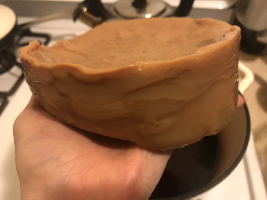 Kombucha SCOBY (Art) Experiment