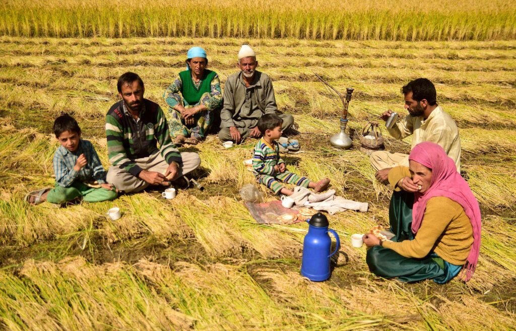 Tea News Digest – Global Tea Culture and Industry Stories