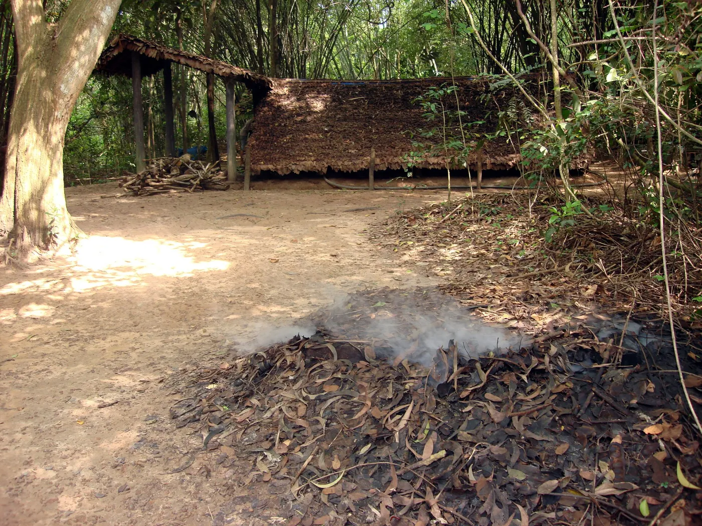 Thin smoke seeping out of a patch of dead leaves on the forest floor at the Cu Chi tunnels, the hidden outlet of an underground kitchen