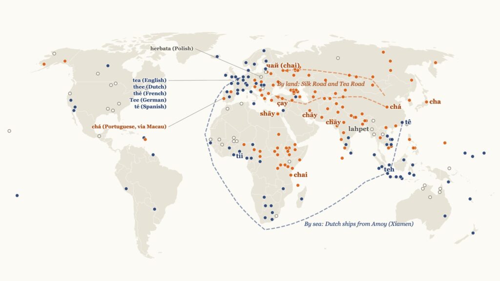 World map showing which languages say tea (navy, along the Dutch sea route from Amoy) and which say cha or chai (orange, along the Silk Road and Tea Road).